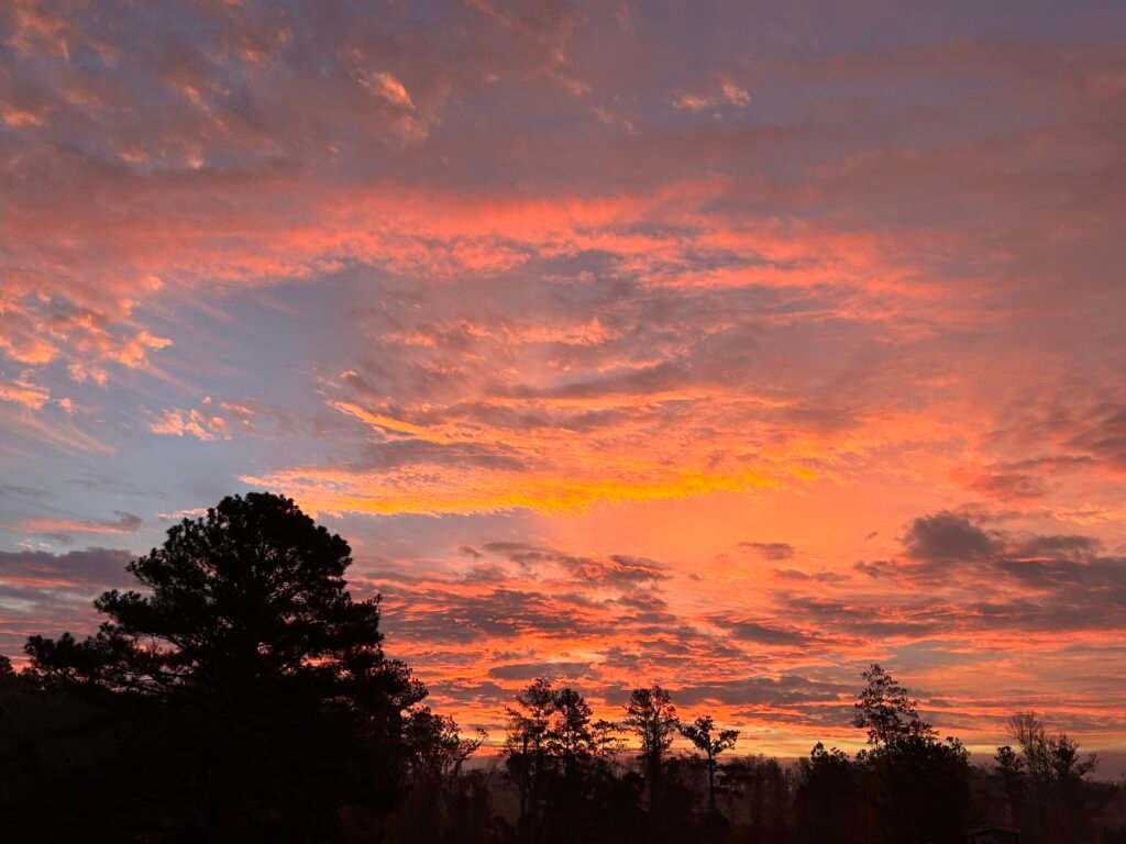 Sunrise of pink, yellow, purple, and blue sky about dark tree line
