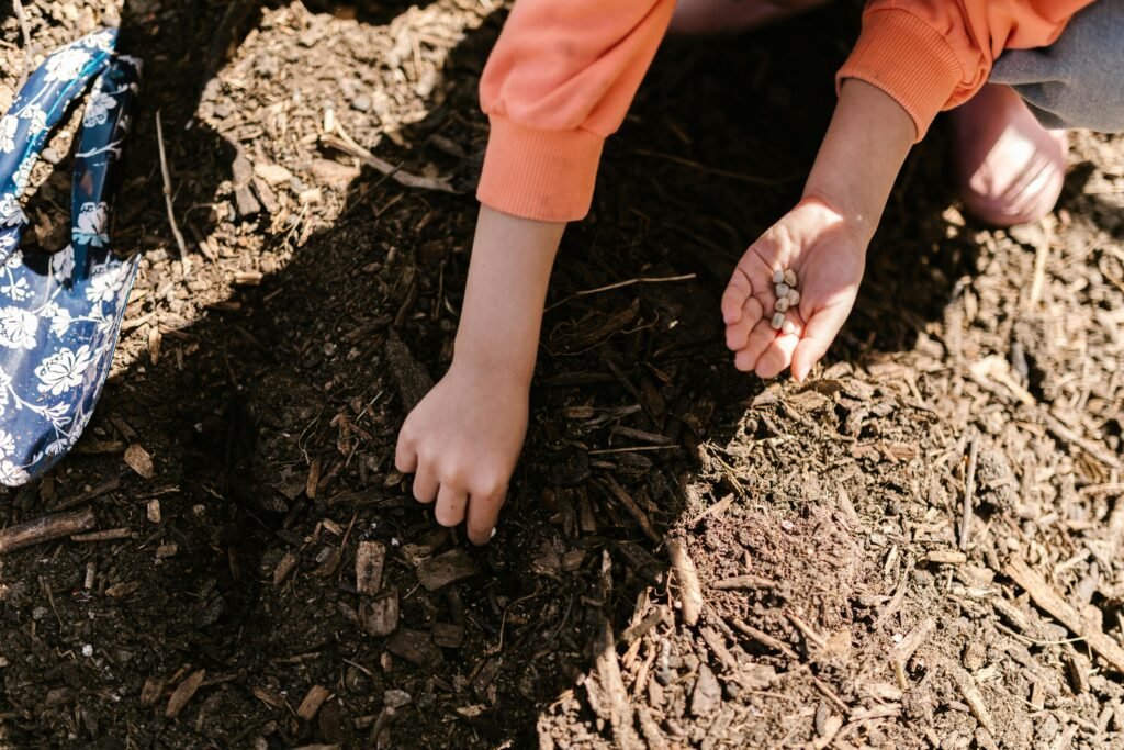 Girl planting seeds in a garden