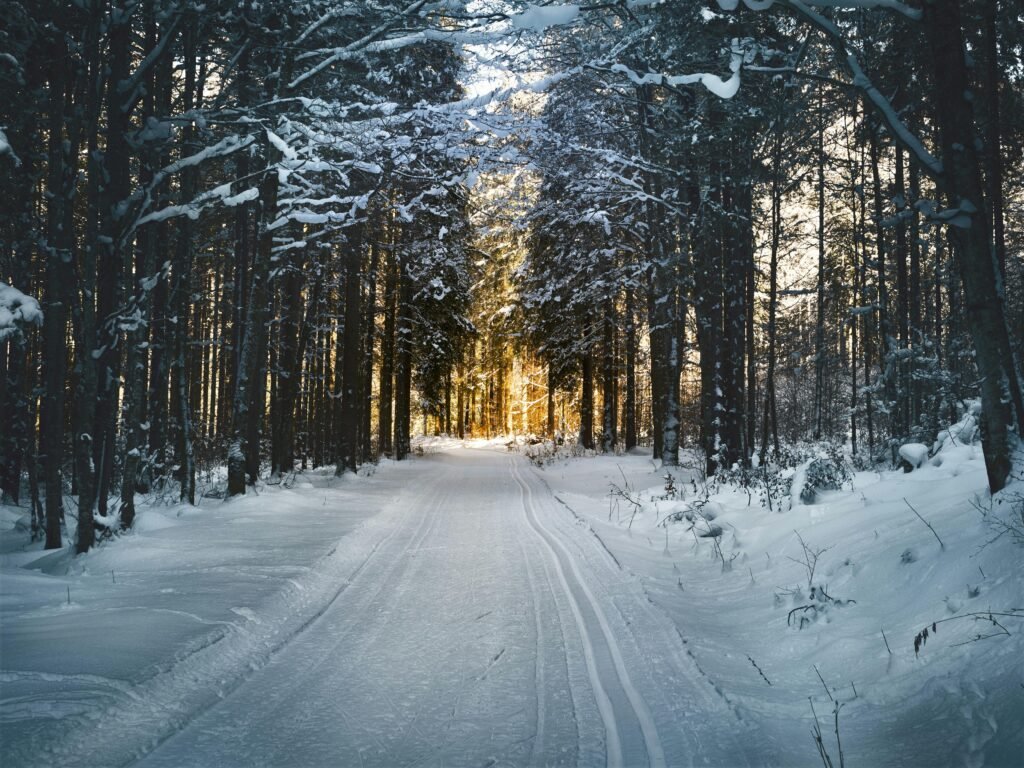 Snow covered trail through the wood representing god's design