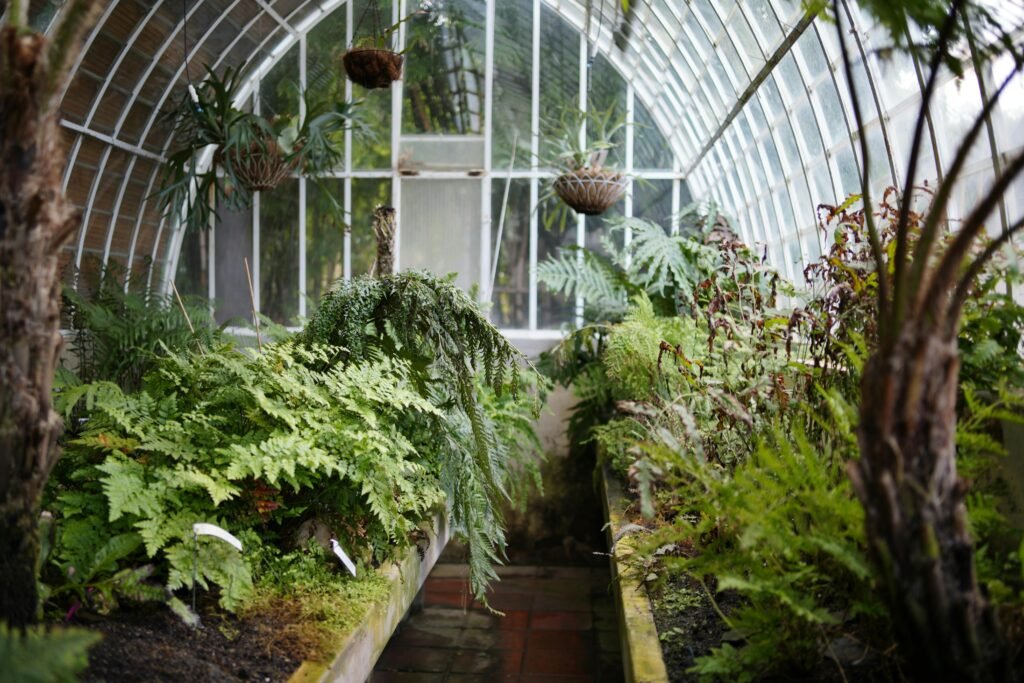 Glass greenhouse filled with tropical plants on either side with a walkway in the center.