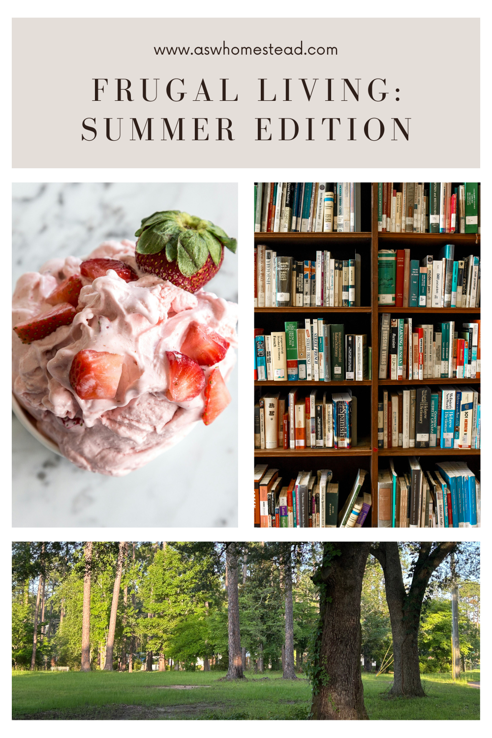 Frugal living pin for Pinterest