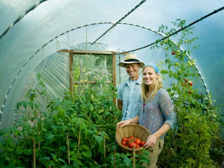 A couple in a green house