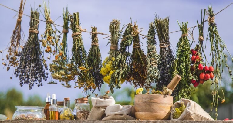 Dried medicinal herbs on the table. Selective focus.