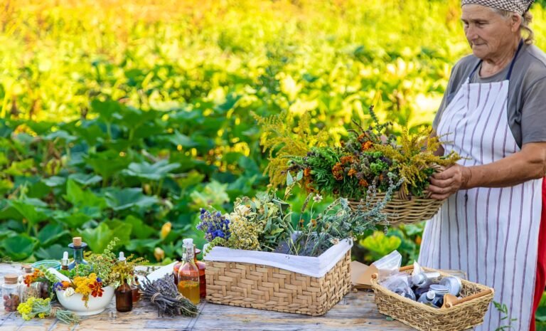 Grandmother makes tinctures from medicinal herbs. Selective focus.