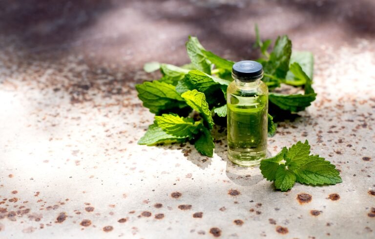 Natural Mint Essential Oil. Bottle of mint oil and fresh mint on a old metal background. Copy space.